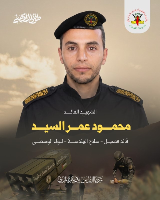 محمود عمر السيد
