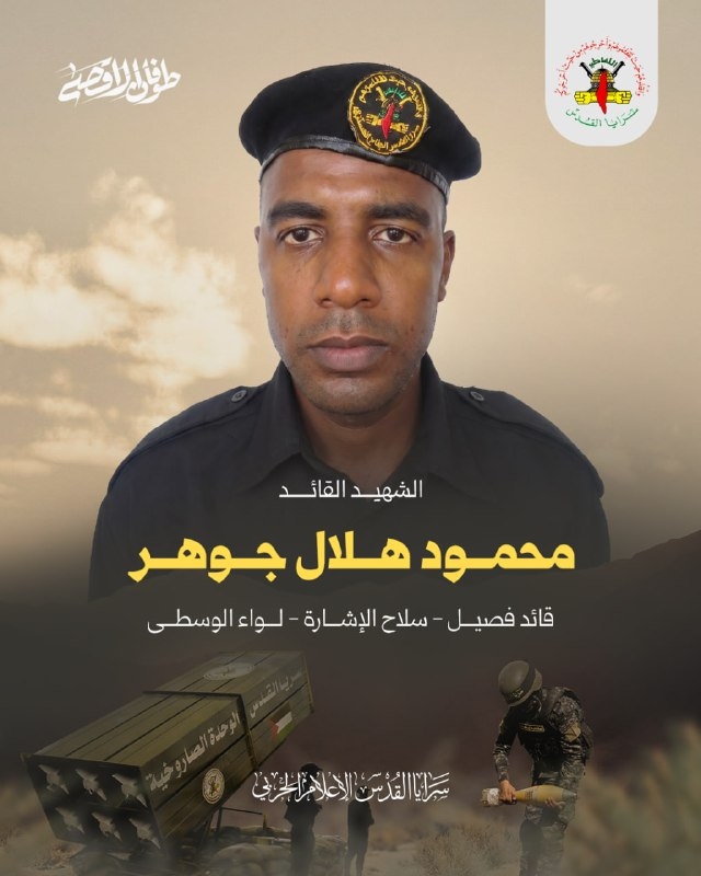 محمود هلال جوهر
